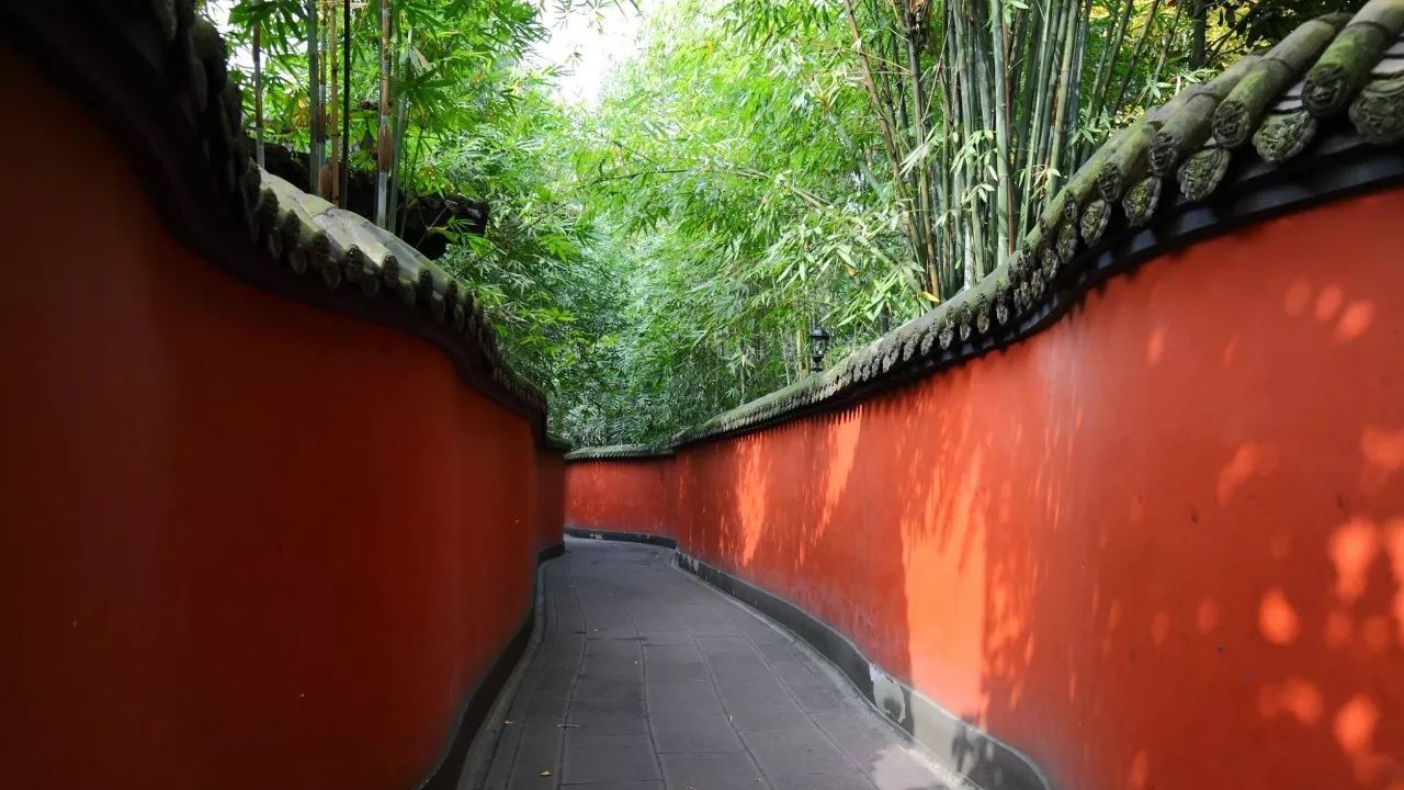 一分钟吃遍成都特点美食,带你一起吃遍成都的美食