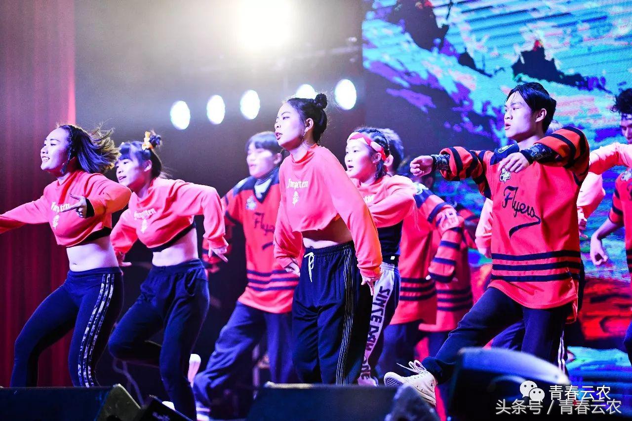 社团嘉年华会场,社团嘉年华图片大全