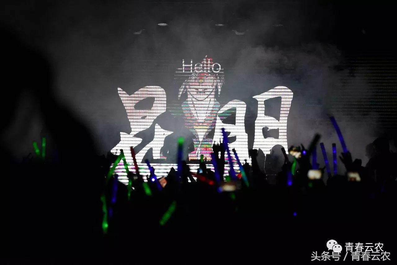 社团嘉年华会场,社团嘉年华图片大全