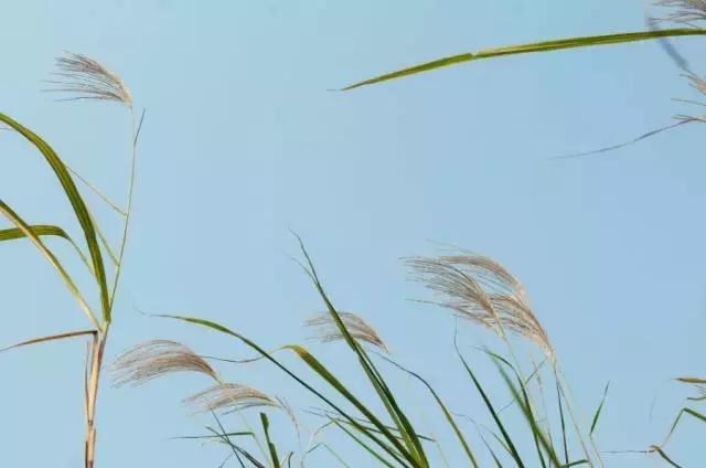 武汉地铁2号线游玩攻略沿线商圈,武汉地铁四号线哪里值得去玩