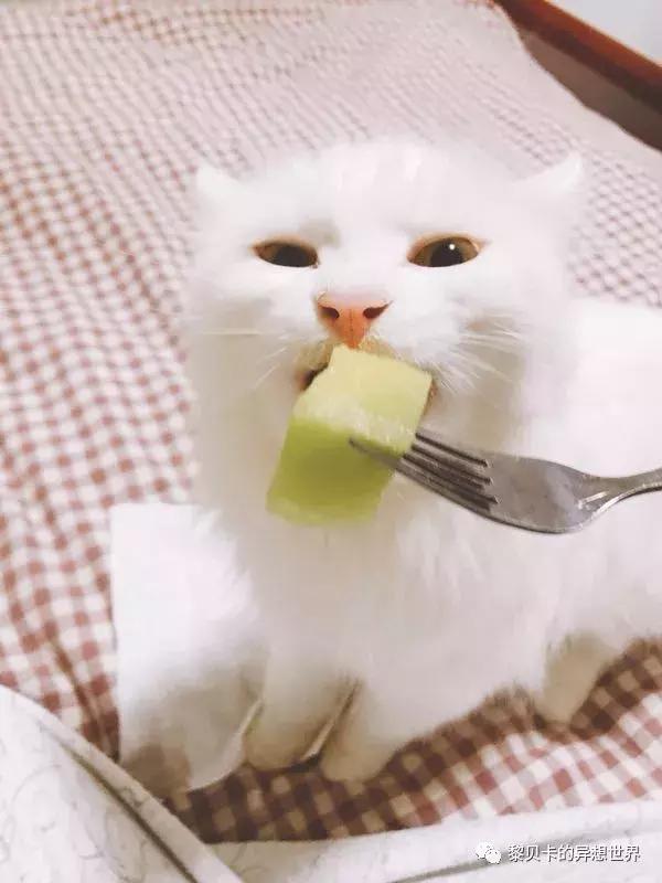 送礼送什么是最好的礼物,给不同人送礼的礼物怎么选