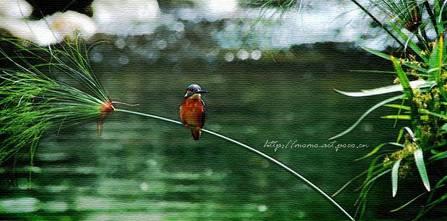 中国十大二胡名曲是哪十首,刘天华十首二胡名曲