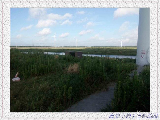 一年四季都可以钓的鱼种,一年四季可钓的鱼种