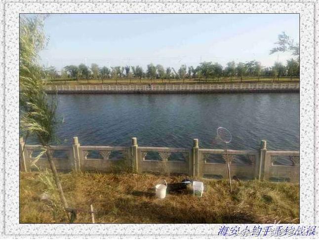 一年四季都可以钓的鱼种,一年四季可钓的鱼种