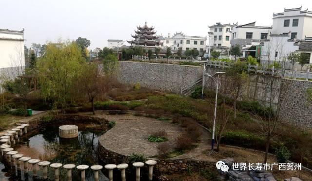 脱贫大变化美丽乡村展新颜,脱贫乡村翻天覆地的变化