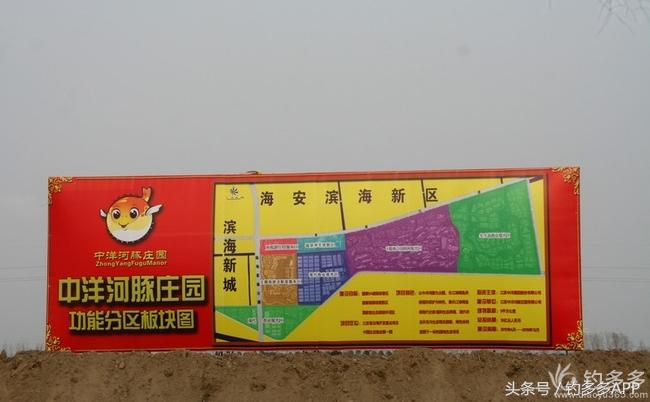 一年四季都可以钓的鱼种,一年四季可钓的鱼种