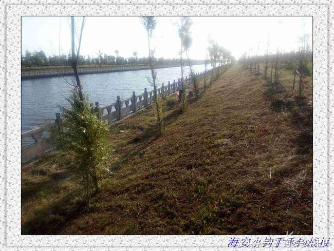 一年四季都可以钓的鱼种,一年四季可钓的鱼种