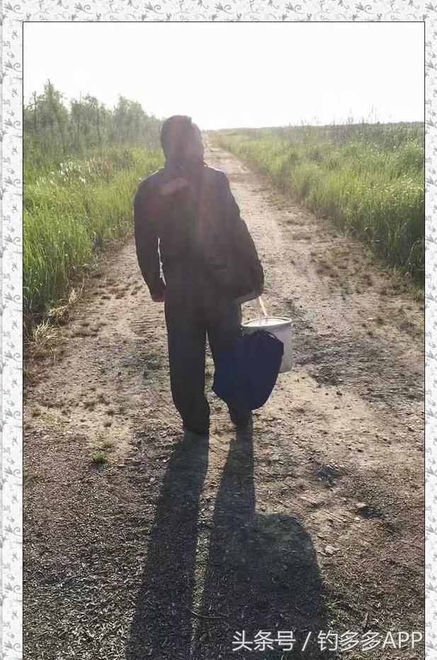 一年四季都可以钓的鱼种,一年四季可钓的鱼种