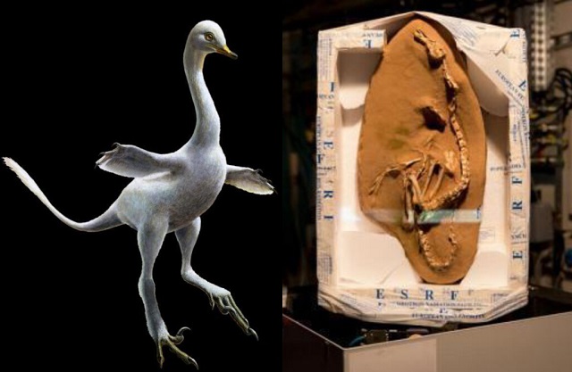 c罗获金球奖完整视频,c罗颁金球奖