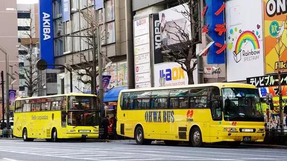 国庆节假期，日本旅行的游客都买了什么？