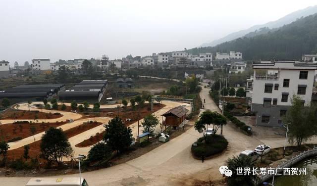 脱贫大变化美丽乡村展新颜,脱贫乡村翻天覆地的变化