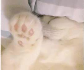 刚做设计师怎么快速记家具尺寸,卧室家具尺寸和布局攻略