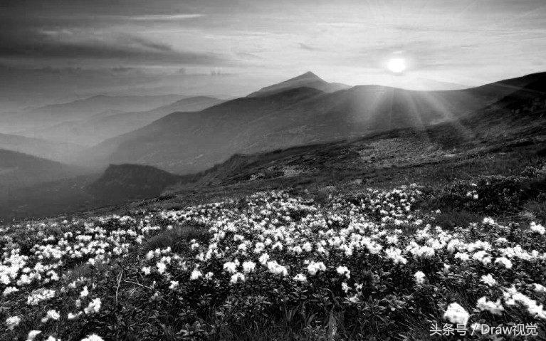 剪映黑白照片如何调色成高清,黑白照片转换卡点变彩色
