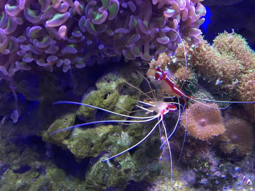 大连景点有哪些好玩的地方,大连福佳新天地好玩的地方