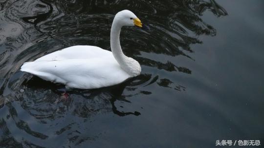 索尼fdr-ax700与微单对比,索尼sonyfdr-ax7004khdr测评