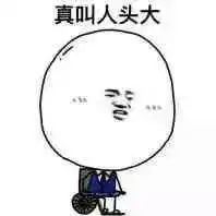 数论为什么是数学的女皇,数学哲学和数论