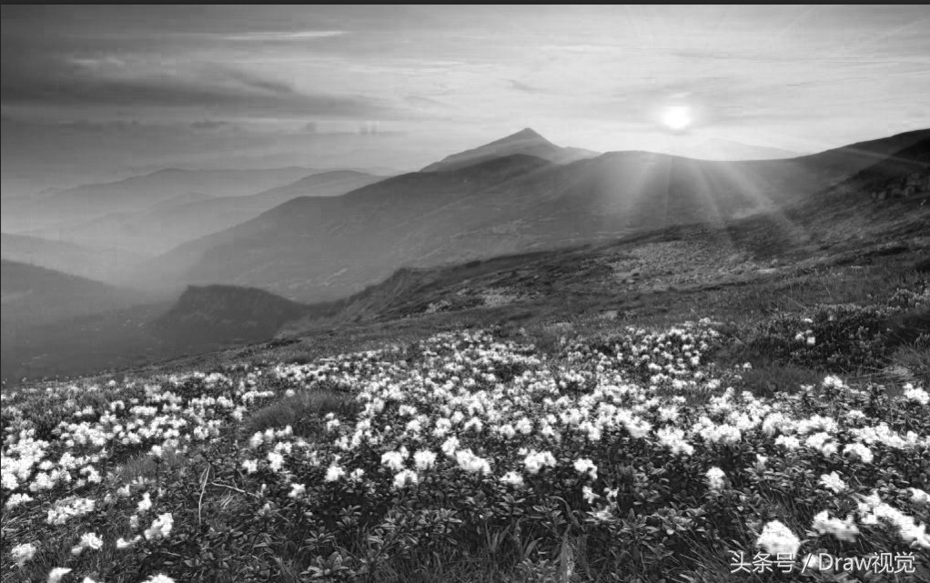 剪映黑白照片如何调色成高清,黑白照片转换卡点变彩色