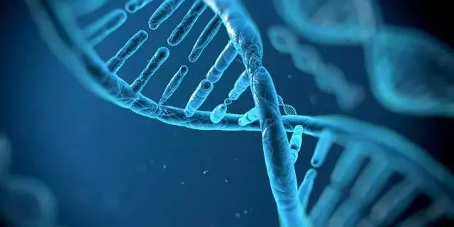 长生不老是不是世界的福音,人类或许能长生不老