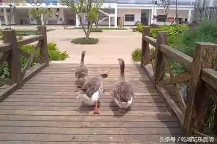 昆十中学校怎么样,昆十中文科实力