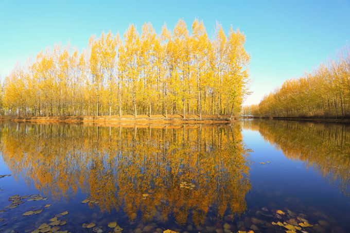 微山湖风景区湖滨湿地,微山湖国家湿地公园