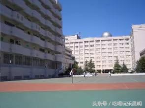 昆十中学校怎么样,昆十中文科实力