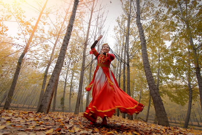 微山湖风景区湖滨湿地,微山湖国家湿地公园