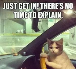 高速上限速120码最高能跑多少码,高速限速120可以跑多少码