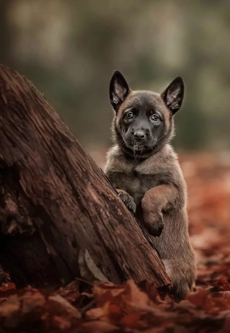 周末摄影欣赏,六月风情摄影欣赏