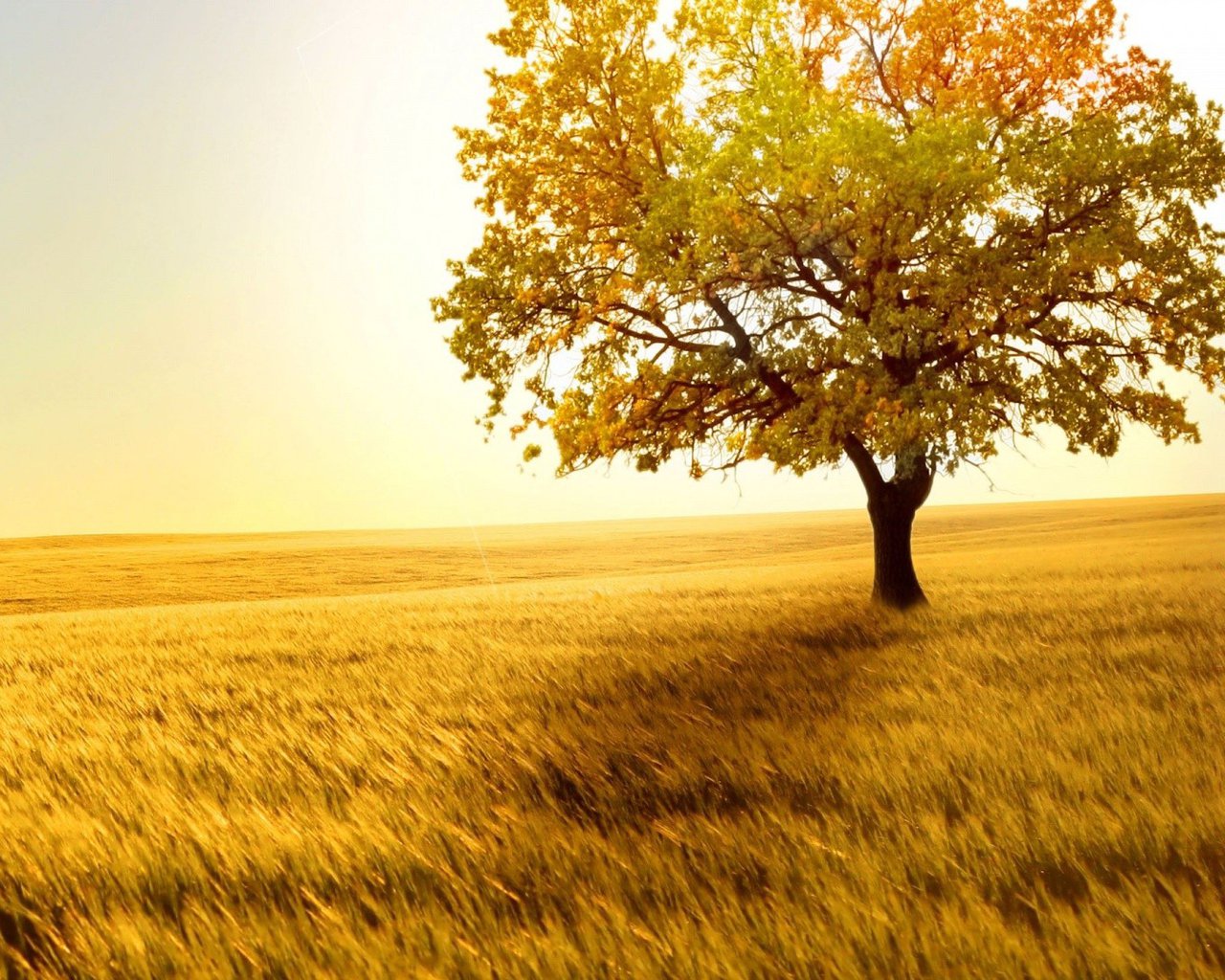 包装产品文案怎么写,产品包装设计文案思路