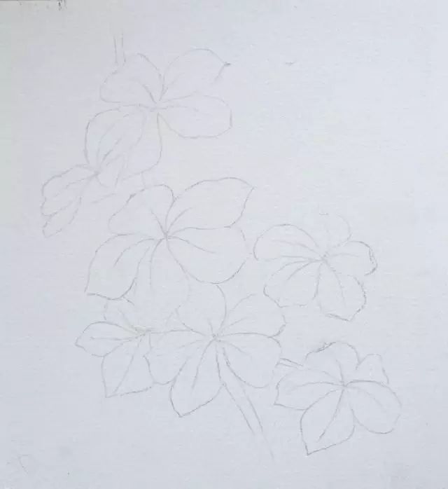 水彩色彩的正确方法和技巧,水彩中的边缘感怎么塑造