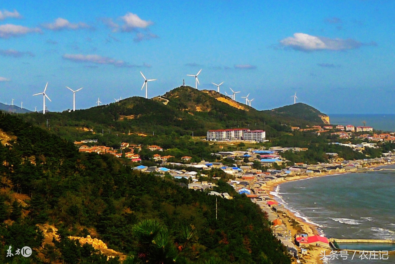 长岛渔家乐口碑排名,长岛本地旅游渔家乐推荐