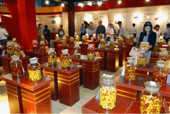 乐陵市金丝小枣批发市场,乐陵市朱集镇金丝小枣