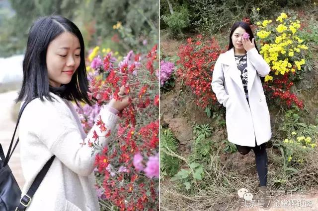 国家森林康养基地示范县,国家级全域森林康养试点建设县