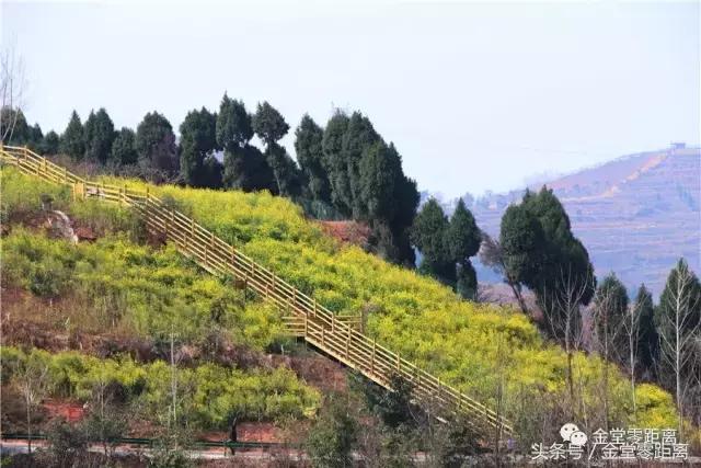 国家森林康养基地示范县,国家级全域森林康养试点建设县