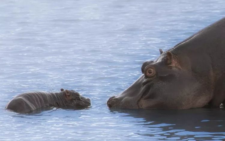 周末摄影欣赏,六月风情摄影欣赏