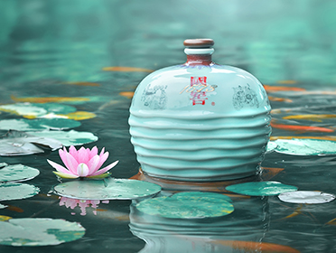 茅台五粮液国窖1573剑南春汾酒,五粮液茅台国窖1573哪个值得买