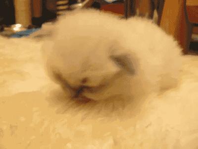 4元一片的面膜会有效果吗,4块一片的面膜