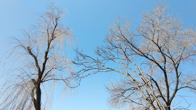 红米5PLUS整体评价怎么样,红米5plus2019年值得购买吗