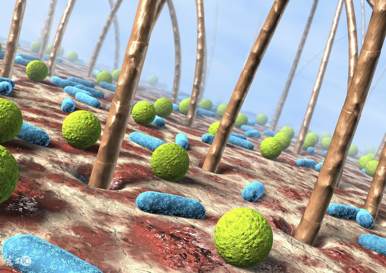 有什么偏方治疗毛囊炎,头皮毛囊炎的饮食调理与禁忌