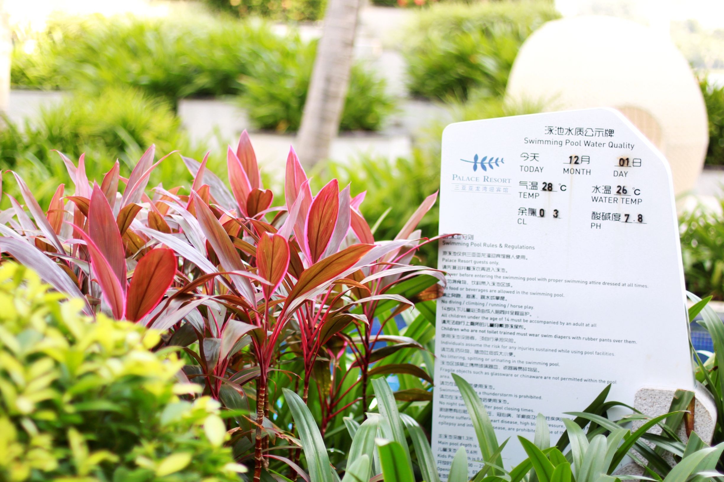 三亚度假之旅完美结束,三亚度假巨无霸五天五夜玩不腻