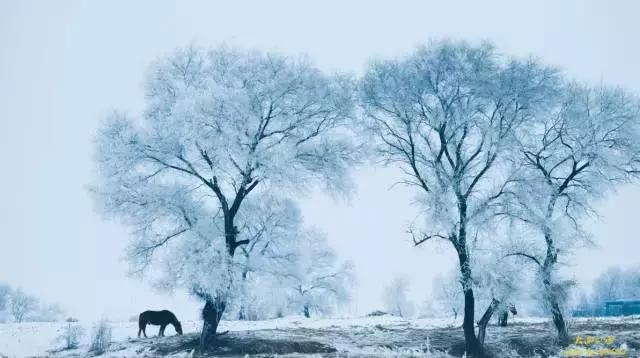 2018年想和一个人去旅行,等一个值得的人一起去旅行