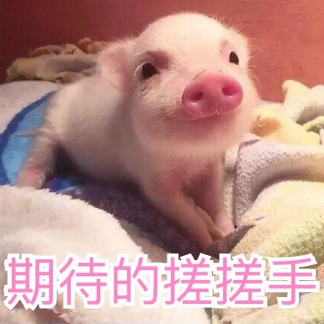 秦岚深夜晒照片,秦岚有多暖心