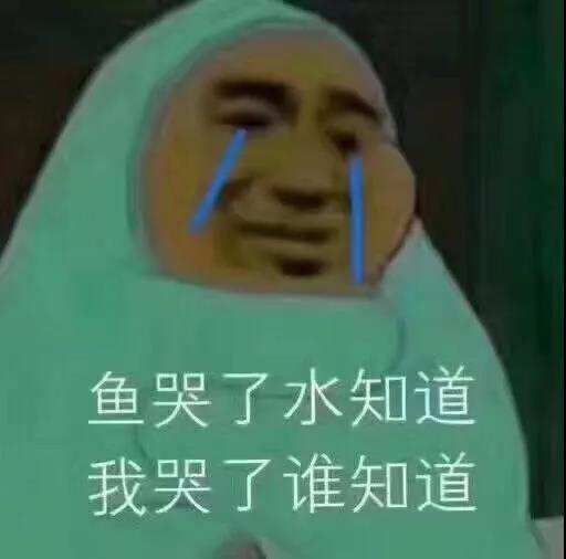 秦岚深夜晒照片,秦岚有多暖心