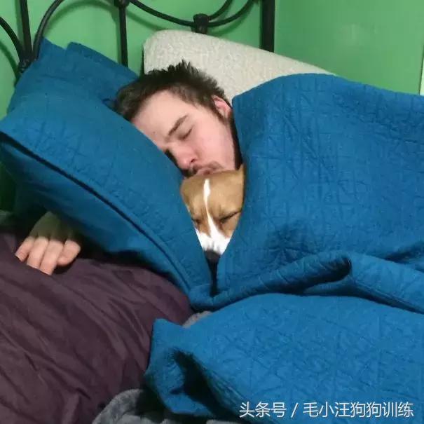 养了这么久的狗竟然又初恋了,养了多年的狗突然接近我