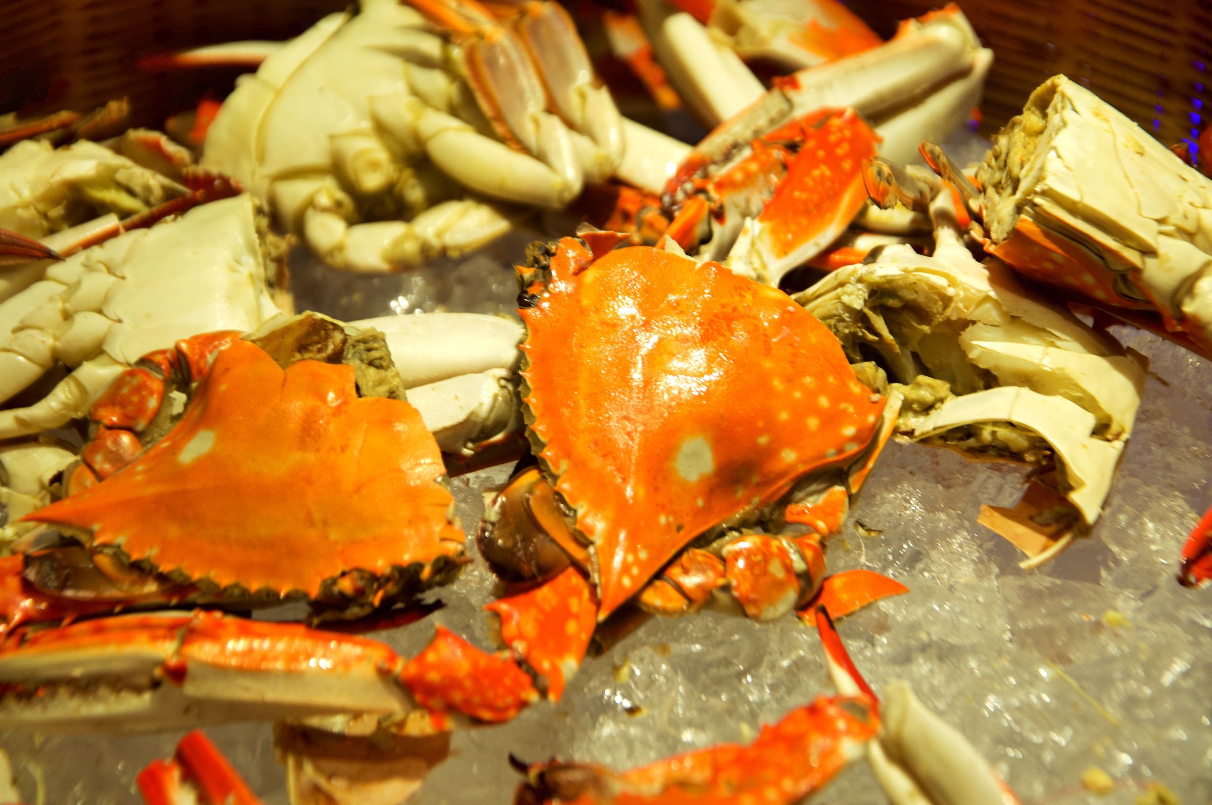 三亚度假之旅完美结束,三亚度假巨无霸五天五夜玩不腻