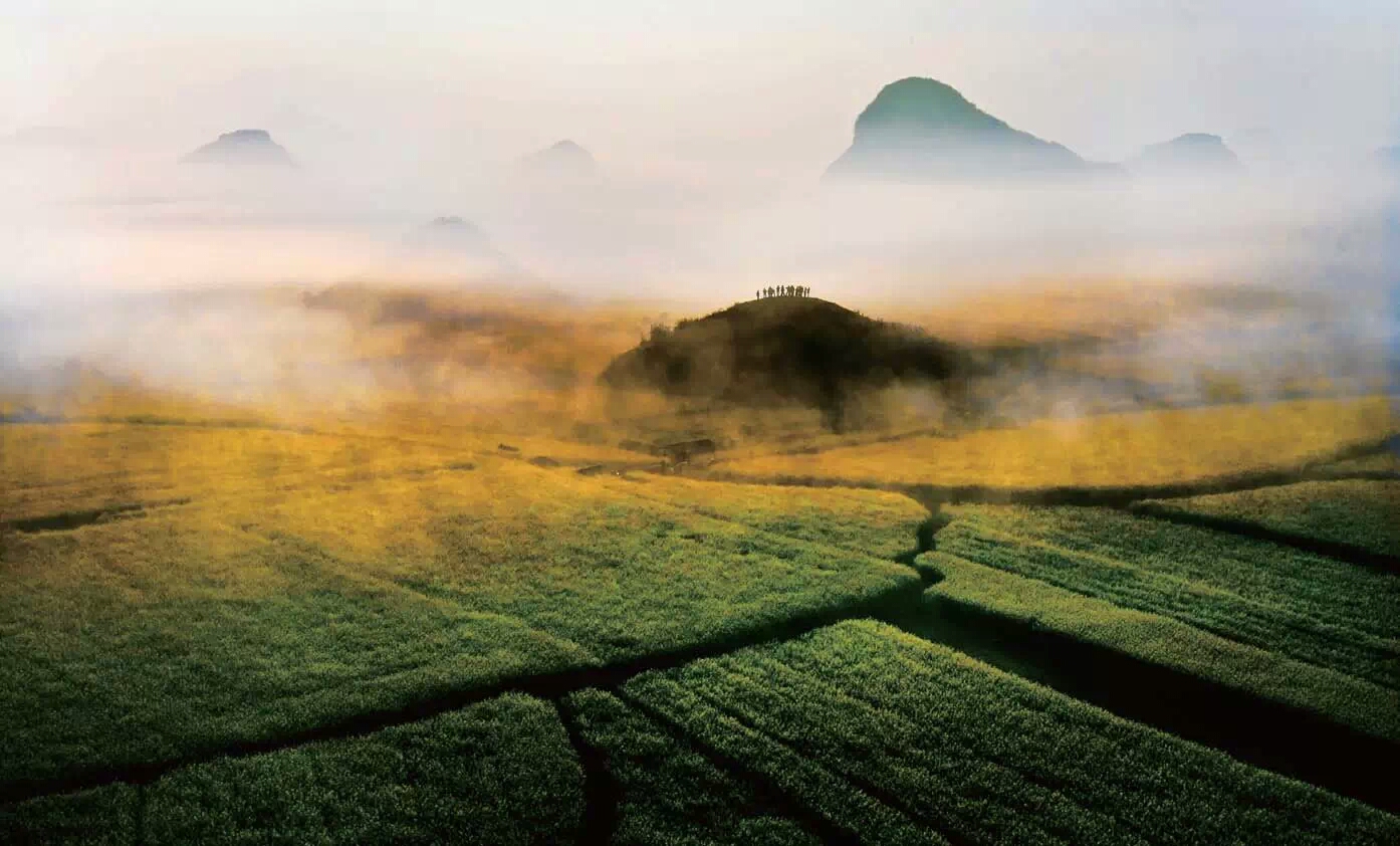 老祖宗的天气预报真的太准了,天气预报历史下雨概率
