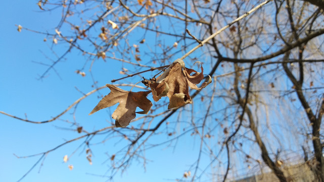 红米5PLUS整体评价怎么样,红米5plus2019年值得购买吗