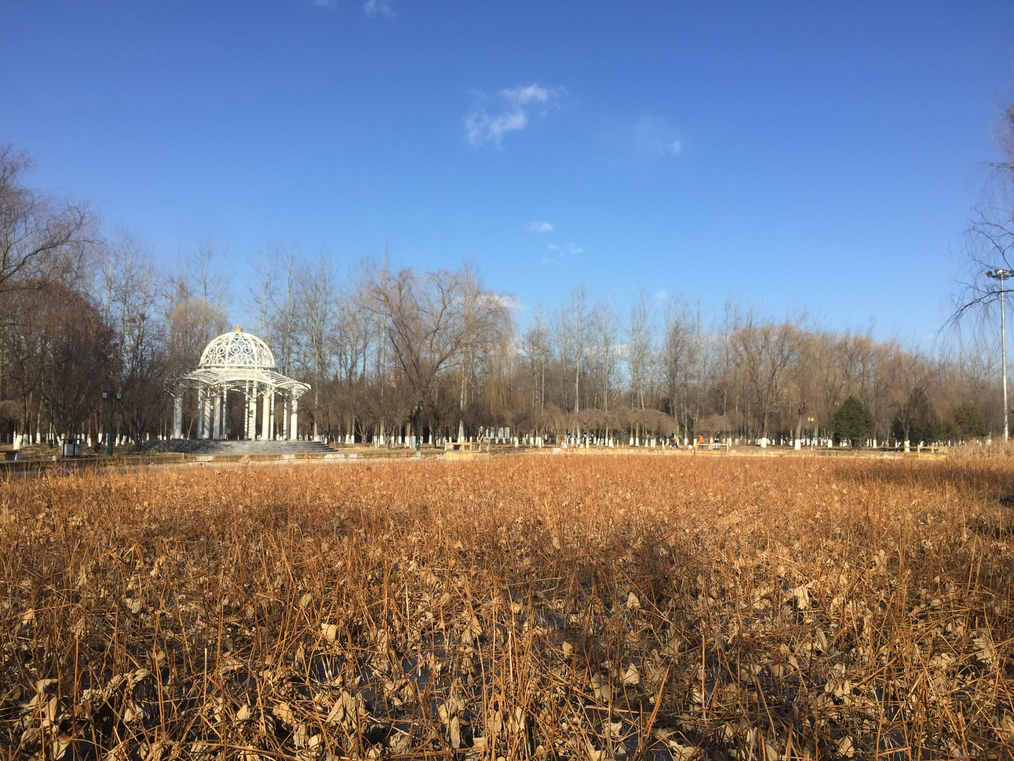 鲁迅先生的世故三味,世故三味鲁迅