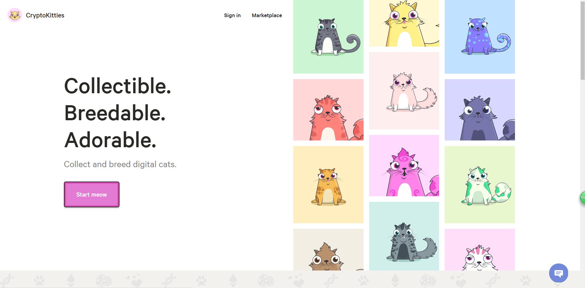 云养猫创新,云养猫系列视频