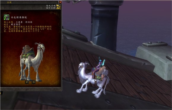 魔兽世界集换式卡牌坐骑,魔兽世界卡牌飞龙坐骑